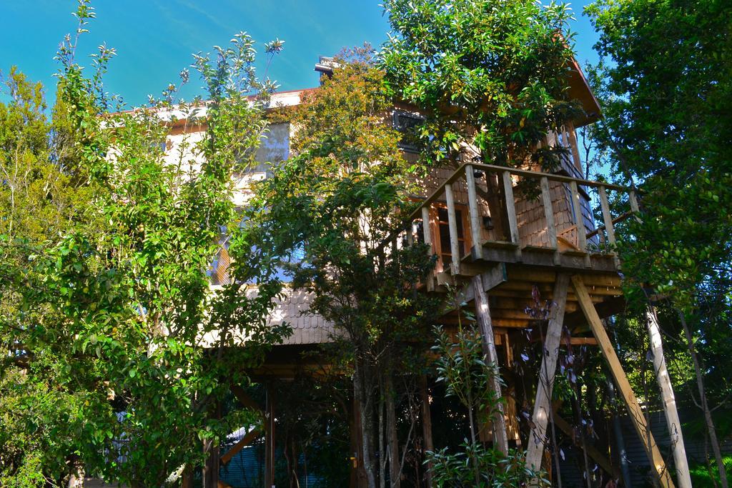 La Casa Del Arbol De Chiloe Villa Castro Rum bild