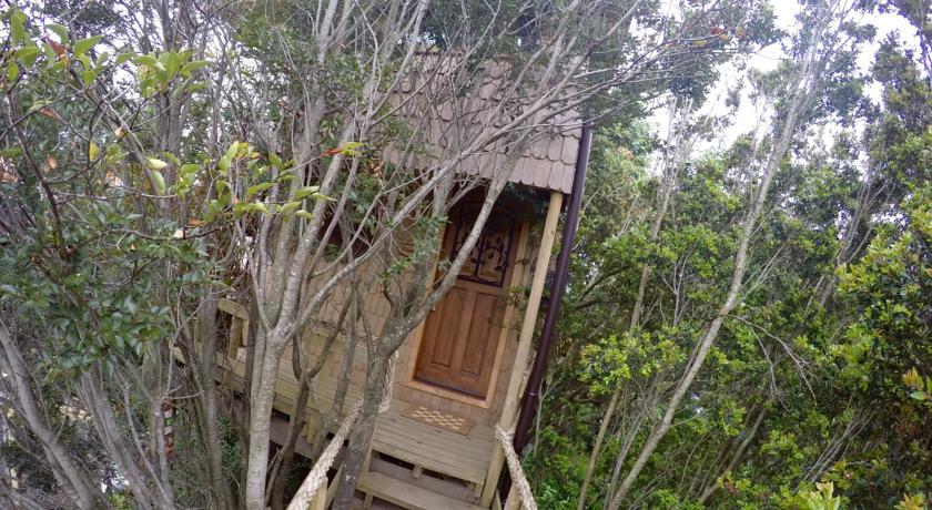 La Casa Del Arbol De Chiloe Villa Castro Rum bild