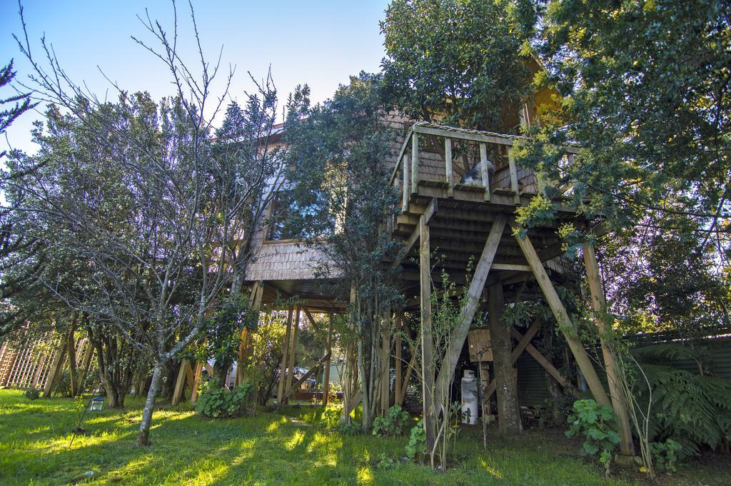 La Casa Del Arbol De Chiloe Villa Castro Exteriör bild
